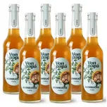 Von Papá Kombucha máta