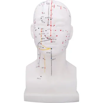 Akupunkturní model hlavy 20 cm