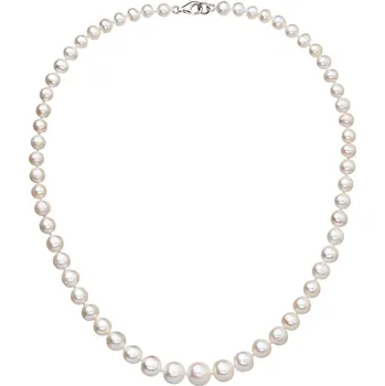 Náhrdelník Evolution Group 22040.1