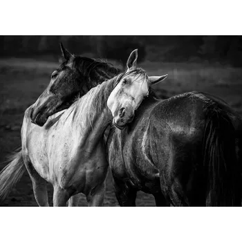 Plakát Plakát, Obraz - Warm rain, Niko Chapa