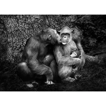 Plakát Plakát, Obraz - Untitled, Juan Luis Duran