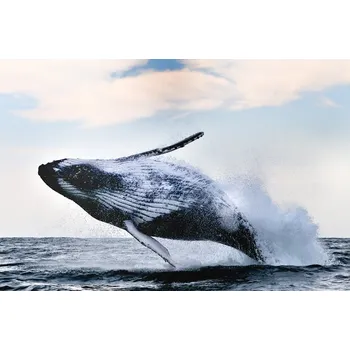 Plakát Plakát, Obraz - breach, Alexander Safonov