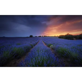 Plakát Plakát, Obraz - Half life, Juan Pablo de