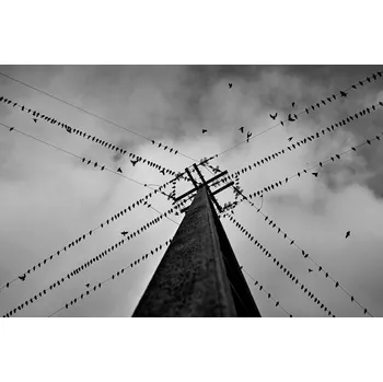 Plakát Plakát, Obraz - Wired, Rui Caria