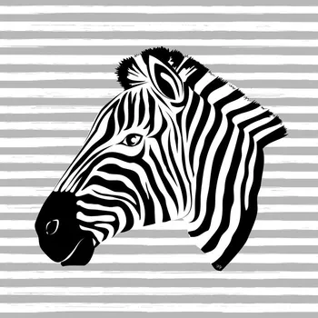 Plakát Plakát, Obraz - Striped zebra, Martina Pavlova