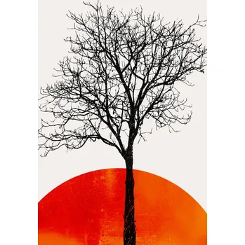 Plakát Plakát, Obraz - The Birch, Kubistika