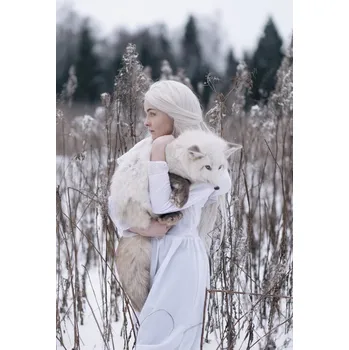 Plakát Plakát, Obraz - Snow fox, Olga Barantseva