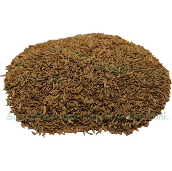 Krmivo pro koně Koňské bylinky Kmín kořenný - Carum carvi 1kg