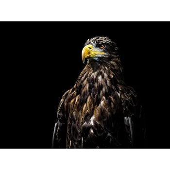 Plakát Plakát, Obraz - Ego, Christian Lechtenfeld