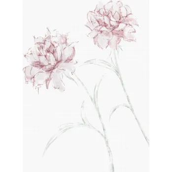 Plakát Plakát, Obraz - Peony 03, Studio Collection