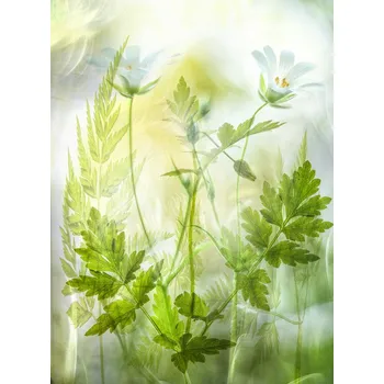 Plakát Plakát, Obraz - Fragile freshness, Hilda van der Lee