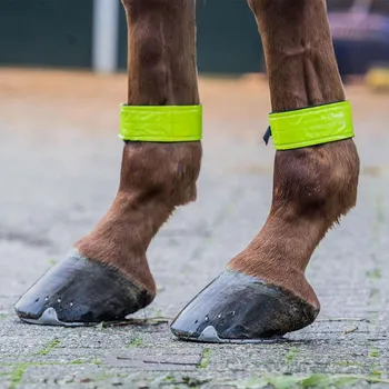 Deka pro koně Horka Reflexní pásky na nohy Barva: Žlutá