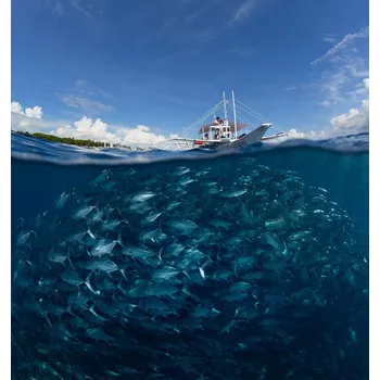 Plakát Plakát, Obraz - Go diving?, Andrey Narchuk