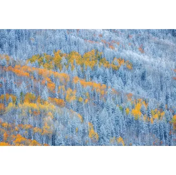 Plakát Plakát, Obraz - Transition of Seasons, Mei Xu