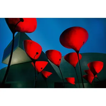 Plakát Plakát, Obraz - MAXXI Museum, Fulvio Pellegrini