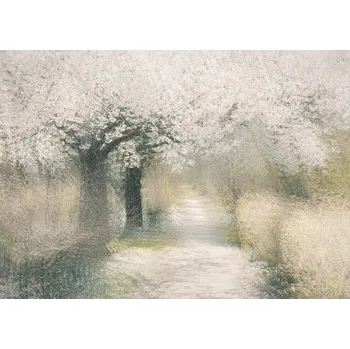 Plakát Plakát, Obraz - Cherry blossom, Nel Talen