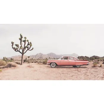 Plakát Plakát, Obraz - In the desert, Sisi & Seb