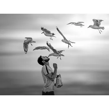 Plakát Plakát, Obraz - Transcendent Love, Irene Yu Wu