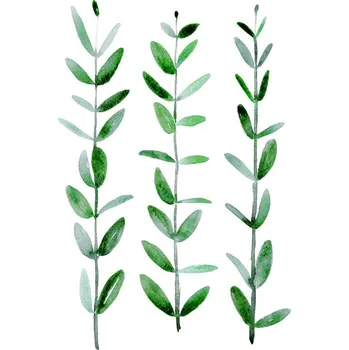 Plakát Plakát, Obraz - Watercolor eucalyptus parvifolia, Blursbyai