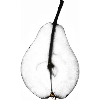 Plakát Plakát, Obraz - Pear, Magda Izzard
