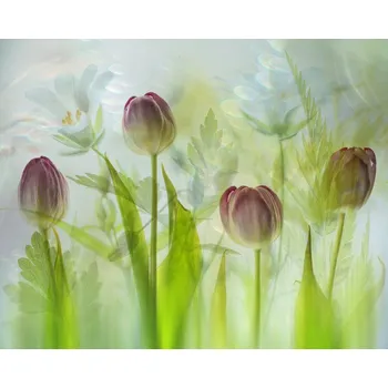 Plakát Plakát, Obraz - Refreshing, Hilda van der Lee