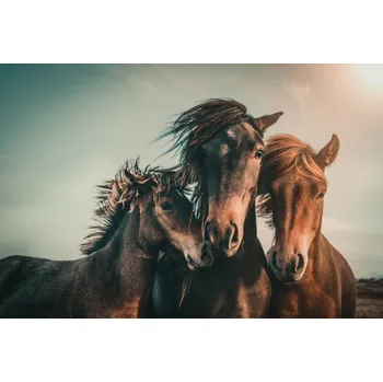 Plakát Plakát, Obraz - Family portrait, Marcus	Hennen