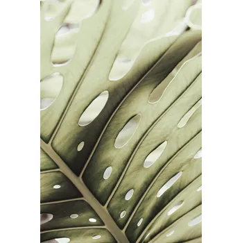 Plakát Plakát, Obraz - Graphic Leaf 2, Studio Collection