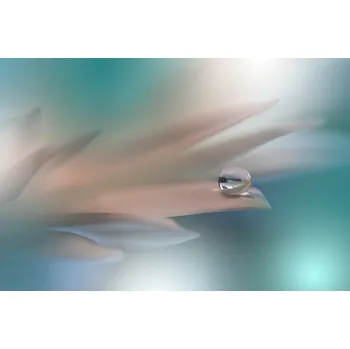 Plakát Plakát, Obraz - White Symphony, Juliana Nan