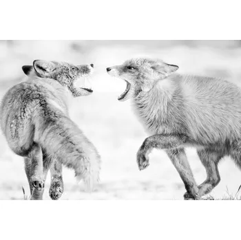 Plakát Plakát, Obraz - Winter dream 2, Eiji Itoyama