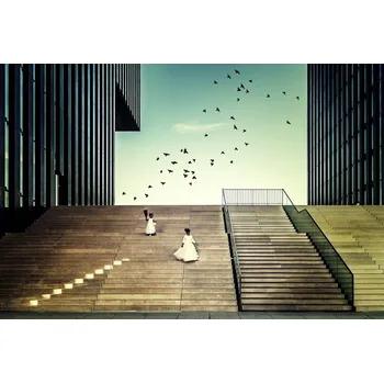 Plakát Plakát, Obraz - Free like a bird..., Dennis Mohrmann