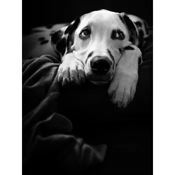 Plakát Plakát, Obraz - nothing is happening, Ute Scherhag