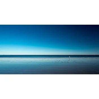 Plakát Plakát, Obraz - The Blues, Harmeet Marwaha