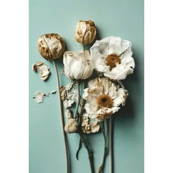 Plakát Plakát, Obraz - Dry Flowers on Turquoise Background, Treechild