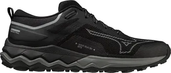 Pánská běžecká obuv Mizuno Wave Ibuki 4 GTX J1GJ225901