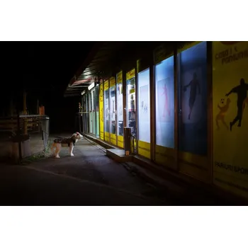 Plakát Plakát, Obraz - Bet, Marius Cinteză