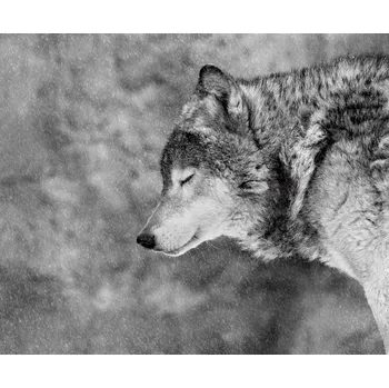 Plakát Plakát, Obraz - Let it snow, Victoria Ivanova