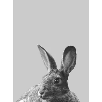 Plakát Plakát, Obraz - Grey rabbit, Finlay & Noa