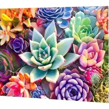 Puzzle Diamantové malování s kulatými diamanty - Kaktusy, 20 x 30