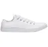 Pánské tenisky Converse Chuck Taylor All Star Mono Canvas Low Top 1U647