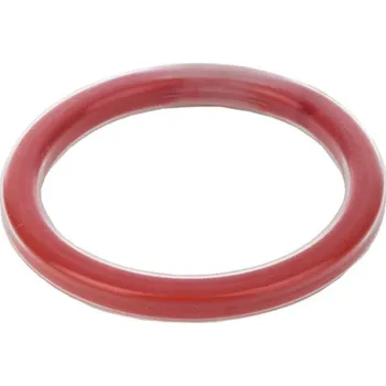 LMC Těsnění Kamlok FEP obal/silikon jádro DN25