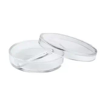 Petri miska 40x12 mm