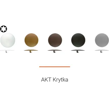 Šroub MUNGO AKT krytka plochá T30 pro turbošrouby MRS-U a MRS-H Varianta: AKT krytka plochá T30 pro MRS-U a MRS-H světle hnědá RAL1001