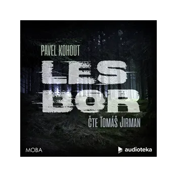 Les Bor, audiokniha