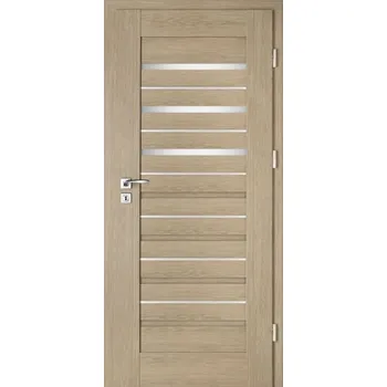 Interiérové dveře Interiérové dveře - Intenso Lion Steel W-4 - 1000dveri.cz