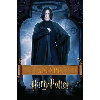 Plakát Plakát, Obraz - Harry Potter - Snape