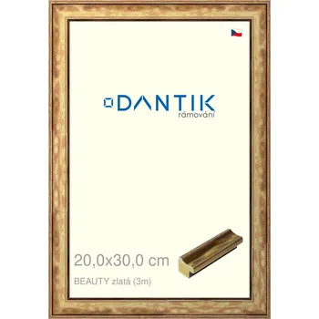 Rám na obraz DANTIK rámeček 20x30 | BEAUTY zlatá (Sklo Čiré) (Vyrobeno s láskou u nás v DANTIKU)