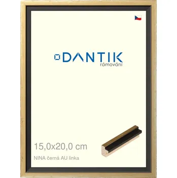 Rám na obraz DANTIK rámeček 15x20 | NINA černá AU linka (Sklo Čiré) (Vyrobeno s láskou u nás v DANTIKU)