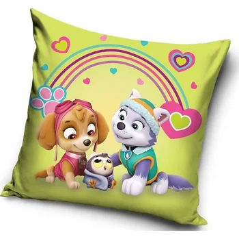 Povlak na dekorativní polštářek DOVOZ EU POVLAK NA POLŠTÁŘ PAW PATROL SKYE A EVEREST