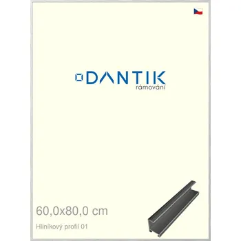 Rám na obraz DANTIK rámeček 60x80 | ALU profil 7001 Stříbrná lesklá (Plexi Čiré) (Vyrobeno s láskou u nás v DANTIKU)