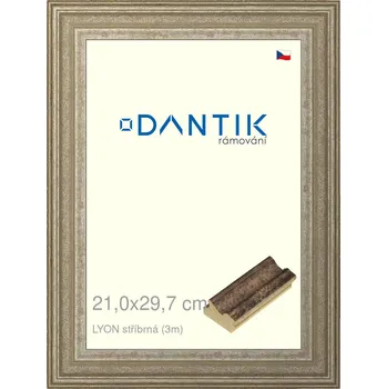 Rám na obraz DANTIK rámeček 21x29,7 | LYON stříbrná (Sklo Čiré) (Vyrobeno s láskou u nás v DANTIKU)